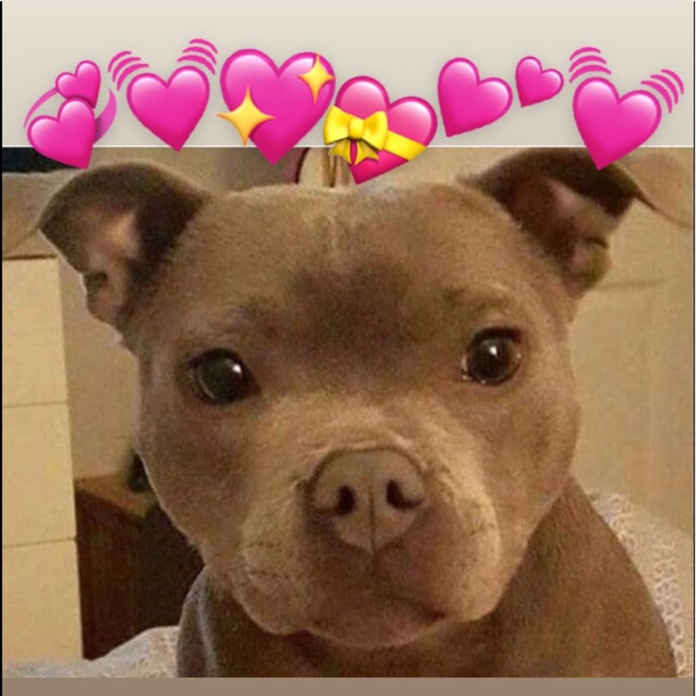 Meet your Posher, Alandra